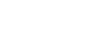PT BINTANG NIAGA PRATAMA CIAMIS LOGO FOOT